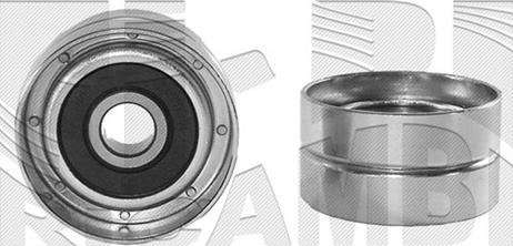 Autoteam A01680 - Poulie renvoi / transmission, courroie de distribution droxauto.com