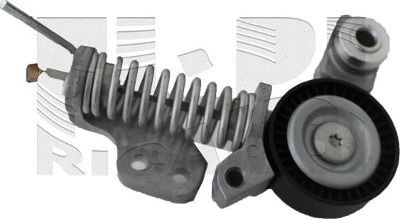 Autoteam AA1460 - Tendeur de courroie, courroie trapézoïdale à nervures droxauto.com