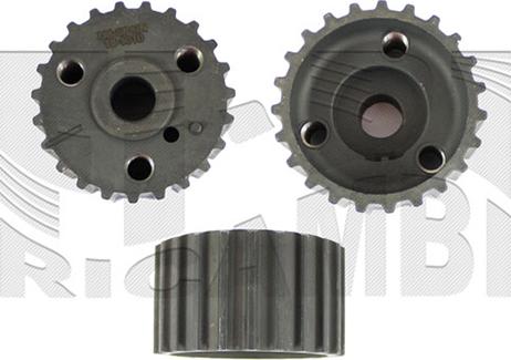 Autoteam AA1169 - Poulie-tendeur, courroie de distribution droxauto.com