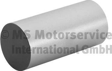 BF 20100335260 - Poussoir de soupape droxauto.com