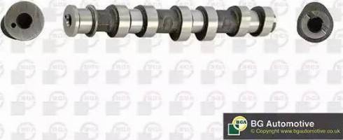 BGA CS3029 - Arbre à came droxauto.com