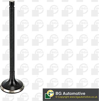 BGA V166041 - Soupape d'émission droxauto.com