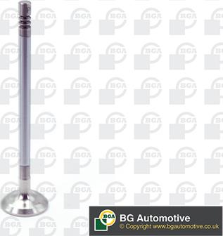 BGA V203633 - Soupape d'émission droxauto.com