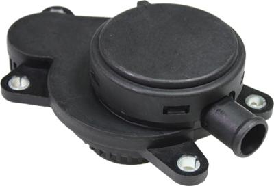 Birth 80956 - Séparateur d'huile, prise de recyclage des gas de carter droxauto.com