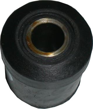 Birth 2291 - Coussinet de palier, ressort à lames droxauto.com