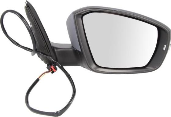 BLIC 5402-43-2002354P - Rétroviseur extérieur droxauto.com