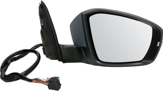 BLIC 5402-43-2002356P - Rétroviseur extérieur droxauto.com