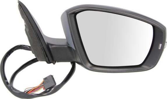 BLIC 5402-43-2002358P - Rétroviseur extérieur droxauto.com