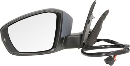 BLIC 5402-43-2002357P - Rétroviseur extérieur droxauto.com