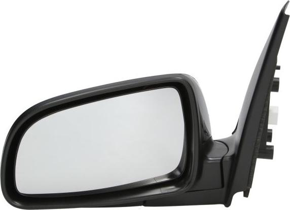 BLIC 5402-56-005361P - Rétroviseur extérieur droxauto.com