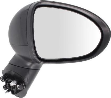 BLIC 5402-53-2001554P - Rétroviseur extérieur droxauto.com