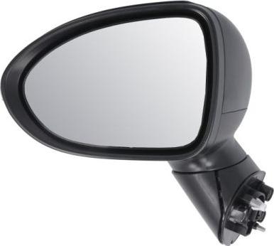 BLIC 5402-53-2001555P - Rétroviseur extérieur droxauto.com