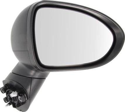 BLIC 5402-53-2001556P - Rétroviseur extérieur droxauto.com