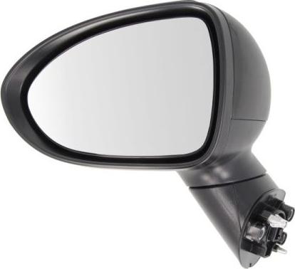 BLIC 5402-53-2001553P - Rétroviseur extérieur droxauto.com