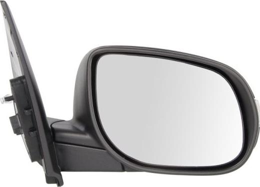 BLIC 5402-53-2001508P - Rétroviseur extérieur droxauto.com