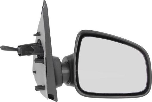 BLIC 5402-67-2001140P - Rétroviseur extérieur droxauto.com