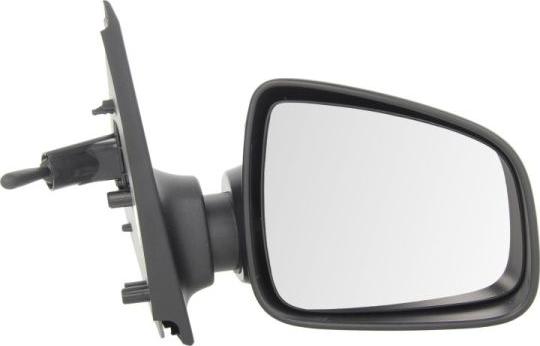BLIC 5402-67-2001142P - Rétroviseur extérieur droxauto.com