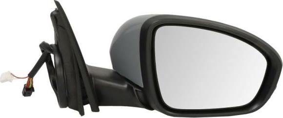 BLIC 5402-09-1231364P - Rétroviseur extérieur droxauto.com