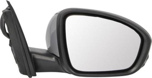 BLIC 5402-09-1231366P - Rétroviseur extérieur droxauto.com
