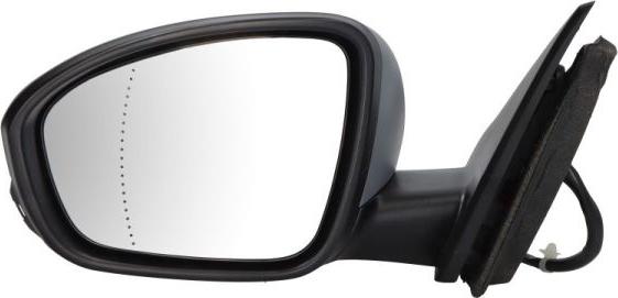 BLIC 5402-09-1231361P - Rétroviseur extérieur droxauto.com