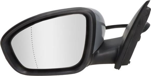 BLIC 5402-09-1231363P - Rétroviseur extérieur droxauto.com