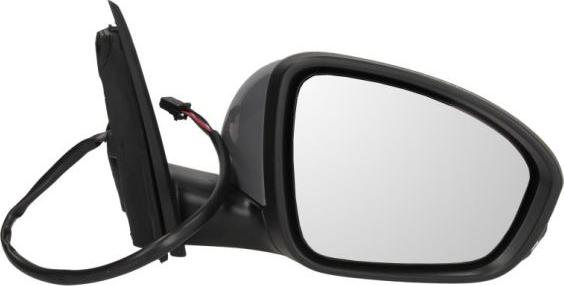 BLIC 5402-09-1231362P - Rétroviseur extérieur droxauto.com