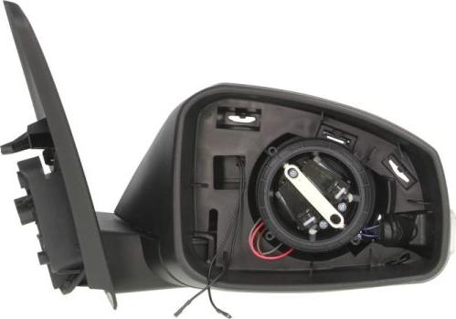 BLIC 5402-09-2002196P - Rétroviseur extérieur droxauto.com