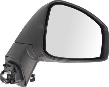 BLIC 5402-09-2002154P - Rétroviseur extérieur droxauto.com