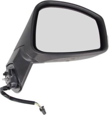 BLIC 5402-09-2002156P - Rétroviseur extérieur droxauto.com