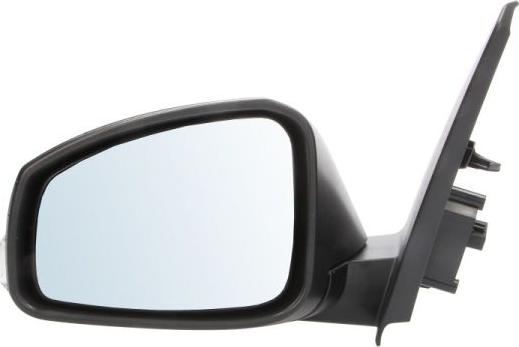 BLIC 5402-09-2002189P - Rétroviseur extérieur droxauto.com