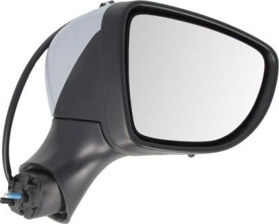 BLIC 5402-09-2002132P - Rétroviseur extérieur droxauto.com