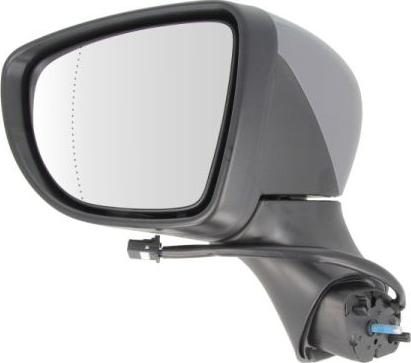 BLIC 5402-09-2002129P - Rétroviseur extérieur droxauto.com