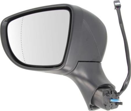 BLIC 5402-09-2002125P - Rétroviseur extérieur droxauto.com