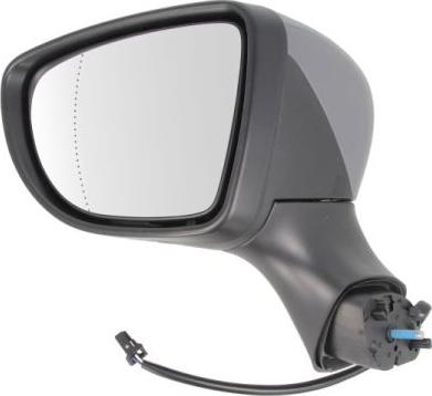 BLIC 5402-09-2002127P - Rétroviseur extérieur droxauto.com