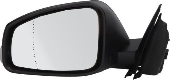 BLIC 5402-09-2002179P - Rétroviseur extérieur droxauto.com