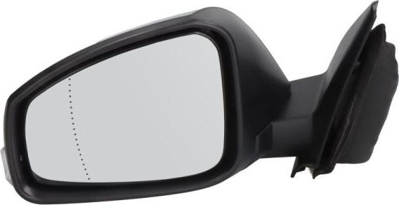 BLIC 5402-09-2002177P - Rétroviseur extérieur droxauto.com