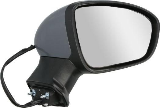 BLIC 5402-09-2345313P - Rétroviseur extérieur droxauto.com