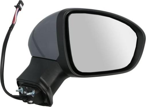 BLIC 5402-09-2345317P - Rétroviseur extérieur droxauto.com