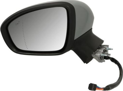 BLIC 5402-09-2313314P - Rétroviseur extérieur droxauto.com