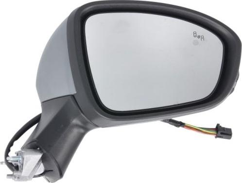 BLIC 5402-09-2313315P - Rétroviseur extérieur droxauto.com
