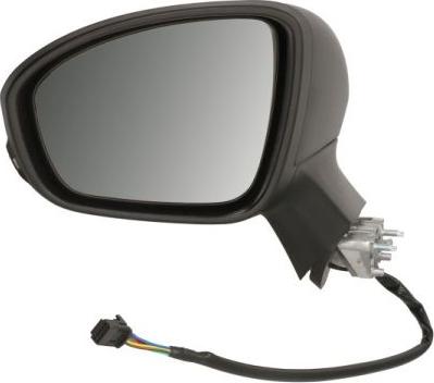 BLIC 5402-09-2313316P - Rétroviseur extérieur droxauto.com