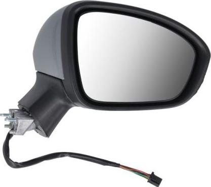 BLIC 5402-09-2313311P - Rétroviseur extérieur droxauto.com