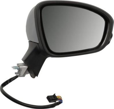 BLIC 5402-09-2313313P - Rétroviseur extérieur droxauto.com