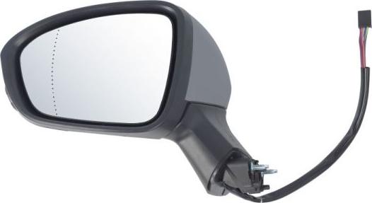 BLIC 5402-09-2313312P - Rétroviseur extérieur droxauto.com