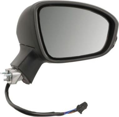BLIC 5402-09-2313317P - Rétroviseur extérieur droxauto.com