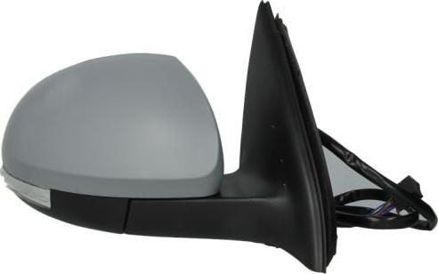 BLIC 5402-04-9939131 - Rétroviseur extérieur droxauto.com