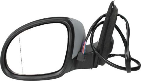 BLIC 5402-04-9929131 - Rétroviseur extérieur droxauto.com