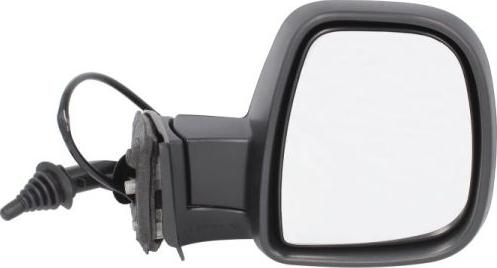 BLIC 5402-04-9212988P - Rétroviseur extérieur droxauto.com
