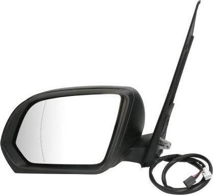 BLIC 5402-04-0203895P - Rétroviseur extérieur droxauto.com