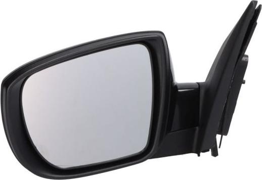 BLIC 5402-04-1502205P - Rétroviseur extérieur droxauto.com